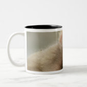 Snow Monkey Baby, Jigokudani, Nagano, Japan 2 Tweekleurige Koffiemok (Links)