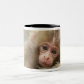 Snow Monkey Baby, Jigokudani, Nagano, Japan 2 Tweekleurige Koffiemok (Center)