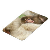 Snow Monkey Baby, Jigokudani, Nagano, Japan Magneet (Linkerzijde)