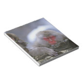 Snow Monkey Mother & Child, Jigokudani, Nagano; Notitieblok (Schuin)