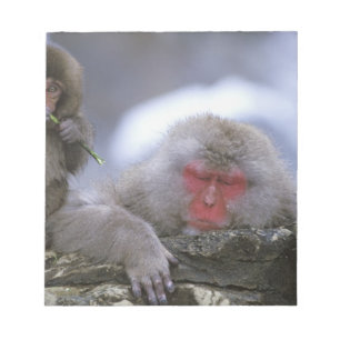 Snow Monkey Mother & Child, Jigokudani, Nagano; Notitieblok