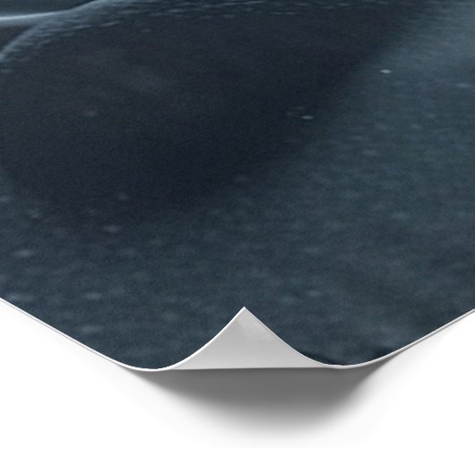 SNOW MOON POSTER (Hoek)