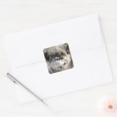 Snow on Dog's Nose Sticker (Envelop)