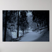 Snow on Hiking Trail 3 Poster (Voorkant)