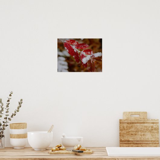 Snow on Red Leaves Poster (Keuken)