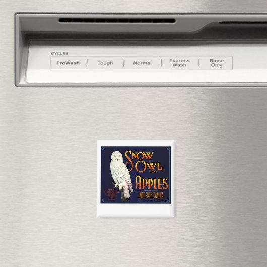 Snow Owl Apples Magneet (Insitu (Vaatwasser))