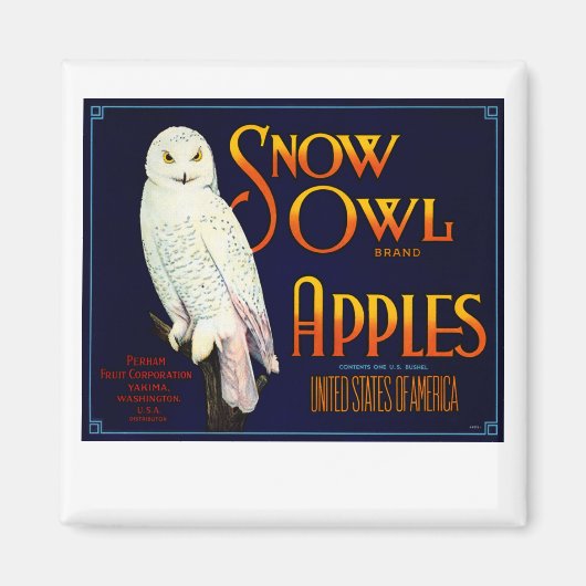 Snow Owl Apples Magneet (Voorkant)