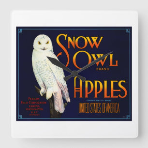Snow Owl Apples Vierkante Klok
