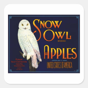 Snow Owl Apples Vierkante Sticker
