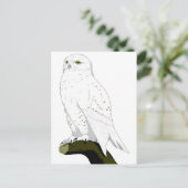 Snow Owl Briefkaart (Staand voorkant)