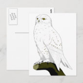 Snow Owl Briefkaart (Voorkant / Achterkant)