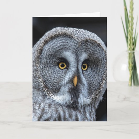 SNOW OWL Fotografie VERJAARDAGS Kaarten (Voorkant)