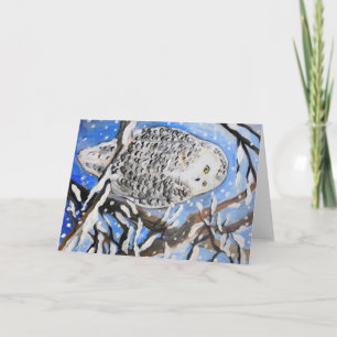 Snow Owl Kaart