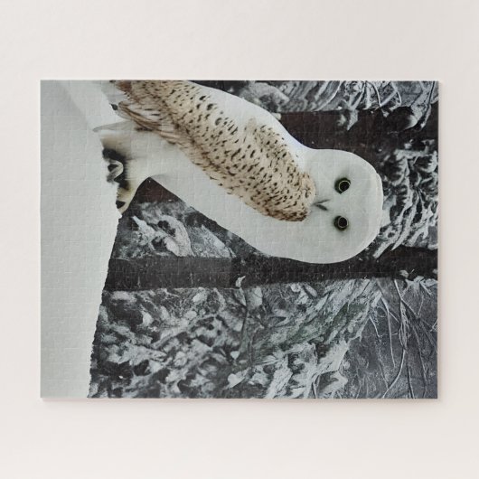 Snow Owl Legpuzzel (Horizontaal)