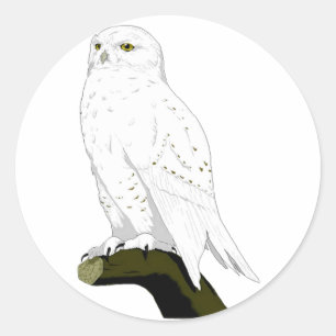 Snow Owl Ronde Sticker