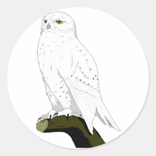 Snow Owl Ronde Sticker (Voorkant)