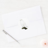 Snow Owl Ronde Sticker (Envelop)