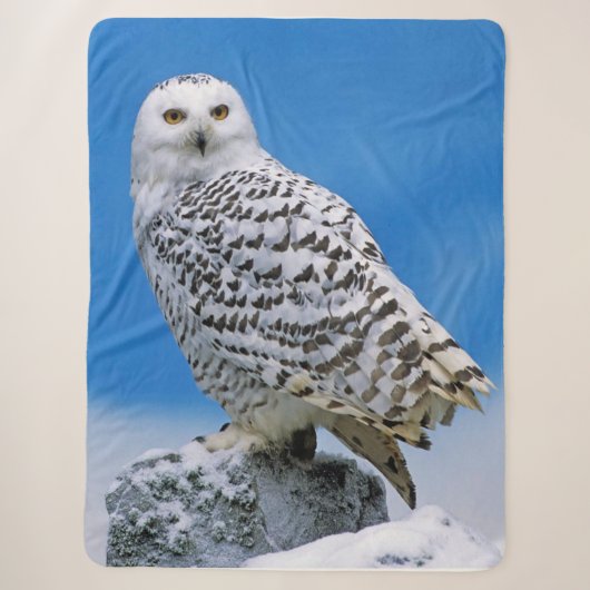 Snow Owl Sherpa Deken (Voorkant)