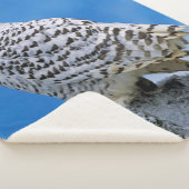 Snow Owl Sherpa Deken (3/4)