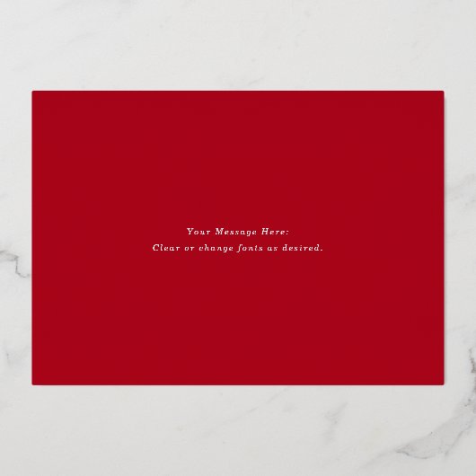 Snow Pinecone Folie Feestdagenkaart (Achterkant)