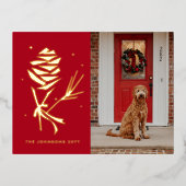 Snow Pinecone Holiday Foto Folie Feestdagen Briefkaart (Voorkant)