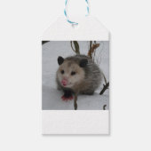 Snow Possum Cadeaulabel (Voorkant)
