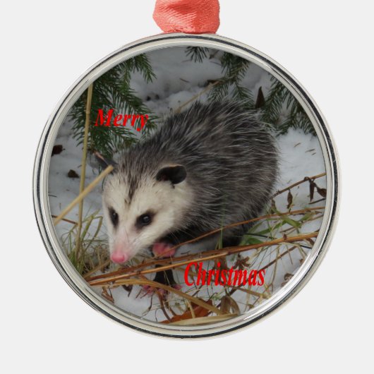 Snow Possum Metalen Ornament (Voorkant)