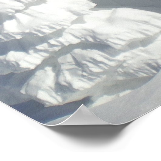 Snow Raven Poster (Hoek)