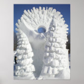 Snow Raven Poster (Voorkant)