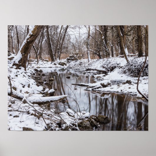 Snow Riverside Poster (Voorkant)