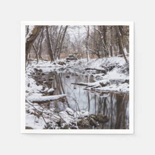 Snow Riverside Servet