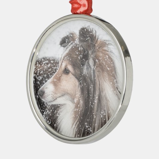 Snow Sheltie met kerstversiering Metalen Ornament (Links)