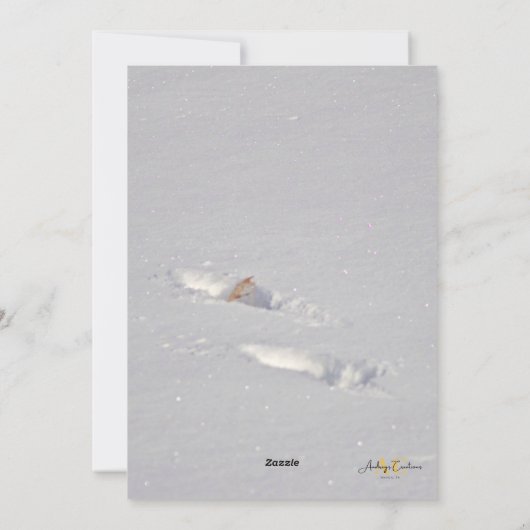 Snow Snowdog Design Feestdagenkaart (Achterkant)