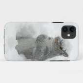 Snow Squirrel iPhone 5 Hoesje (Achterkant (horizontaal))