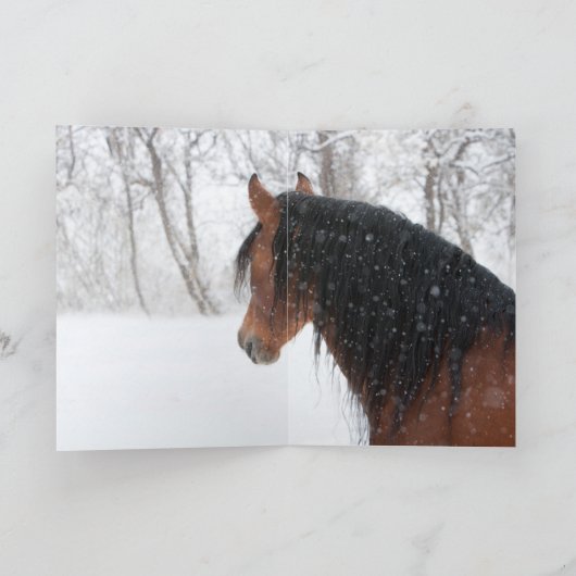 Snow Stallion Greeting Card (Binnen)