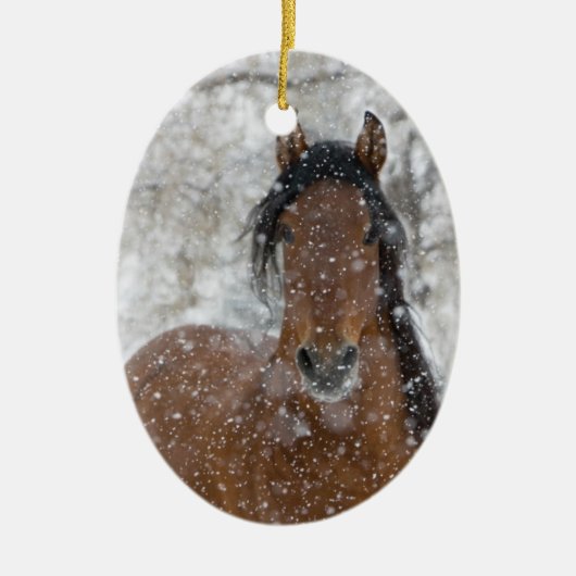 Snow Stallion Horse Holiday Ornament (Voorkant)