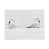 Snow Swans for Nature's Perspectives 2026 Calendar Magneet (Horizontaal)