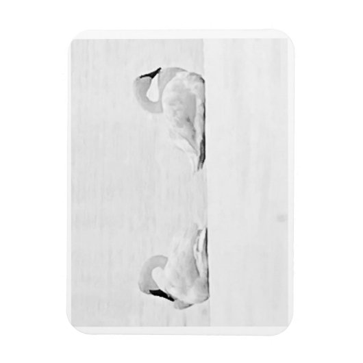 Snow Swans for Nature's Perspectives 2026 Calendar Magneet (Verticaal)