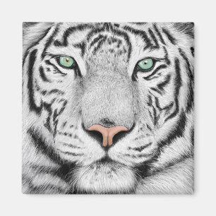 Snow Tiger Face Magneet