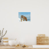 Snow Tiger Mountains Winter Natuur Foto Poster (Keuken)