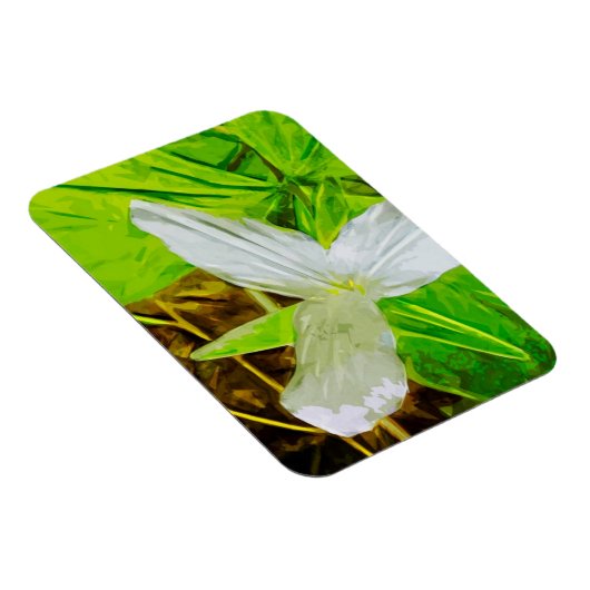 Snow Trillium a White Wilflower Abstract Magneet (Rechterzijde)
