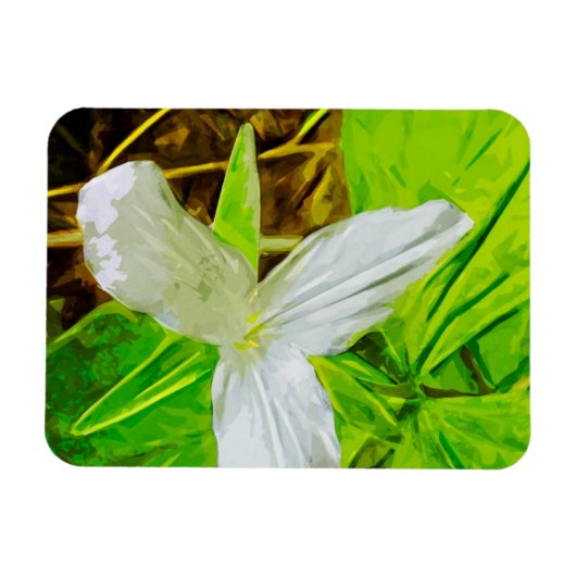 Snow Trillium a White Wilflower Abstract Magneet (Horizontaal)