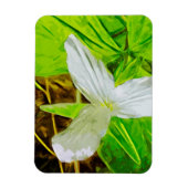 Snow Trillium a White Wilflower Abstract Magneet (Verticaal)