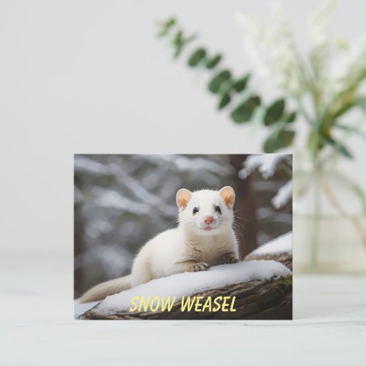 Snow Weasel op rots Briefkaart (Staand voorkant)