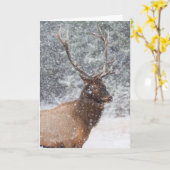 Snow Wereldbol-ziekteverzekeringskaart Kaart (Gele Bloem)