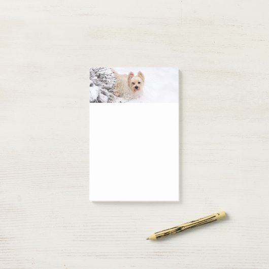 Snow Westie Hond Foto Briefpapier 4x6 Post-it Noti Post-it® Notes (Op bureau)