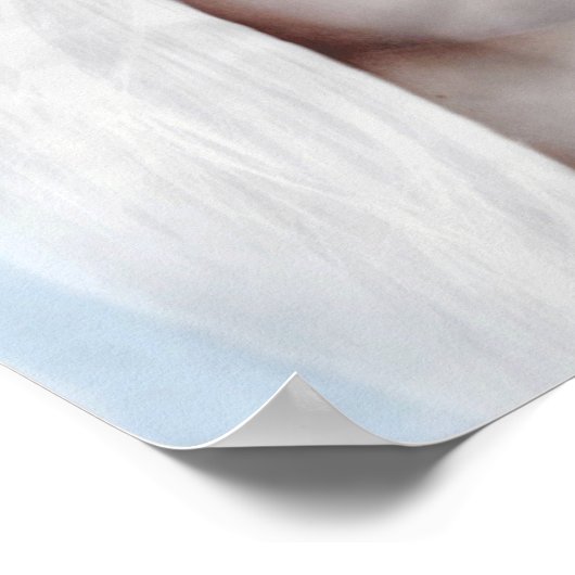 Snow White Wolf Lady Blue Eyes Poster (Hoek)