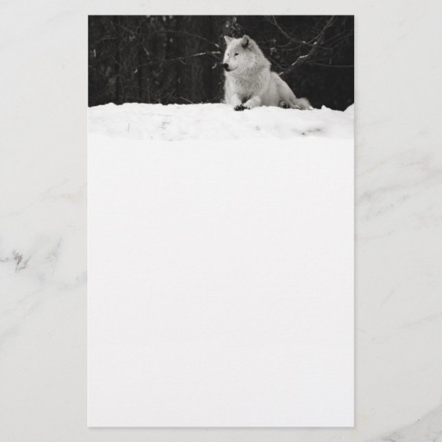 Snow Wolf (Voorkant)