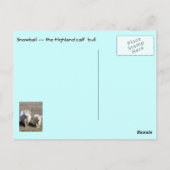 Snowball de Highland Calf Briefkaart (Achterkant)
