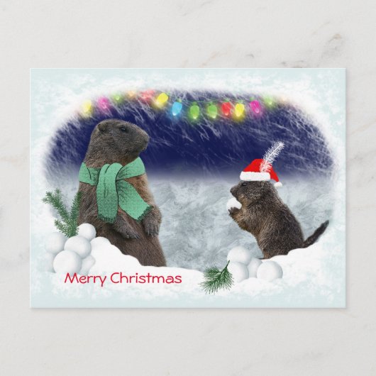 Snowball Fight Briefkaart (Voorkant)